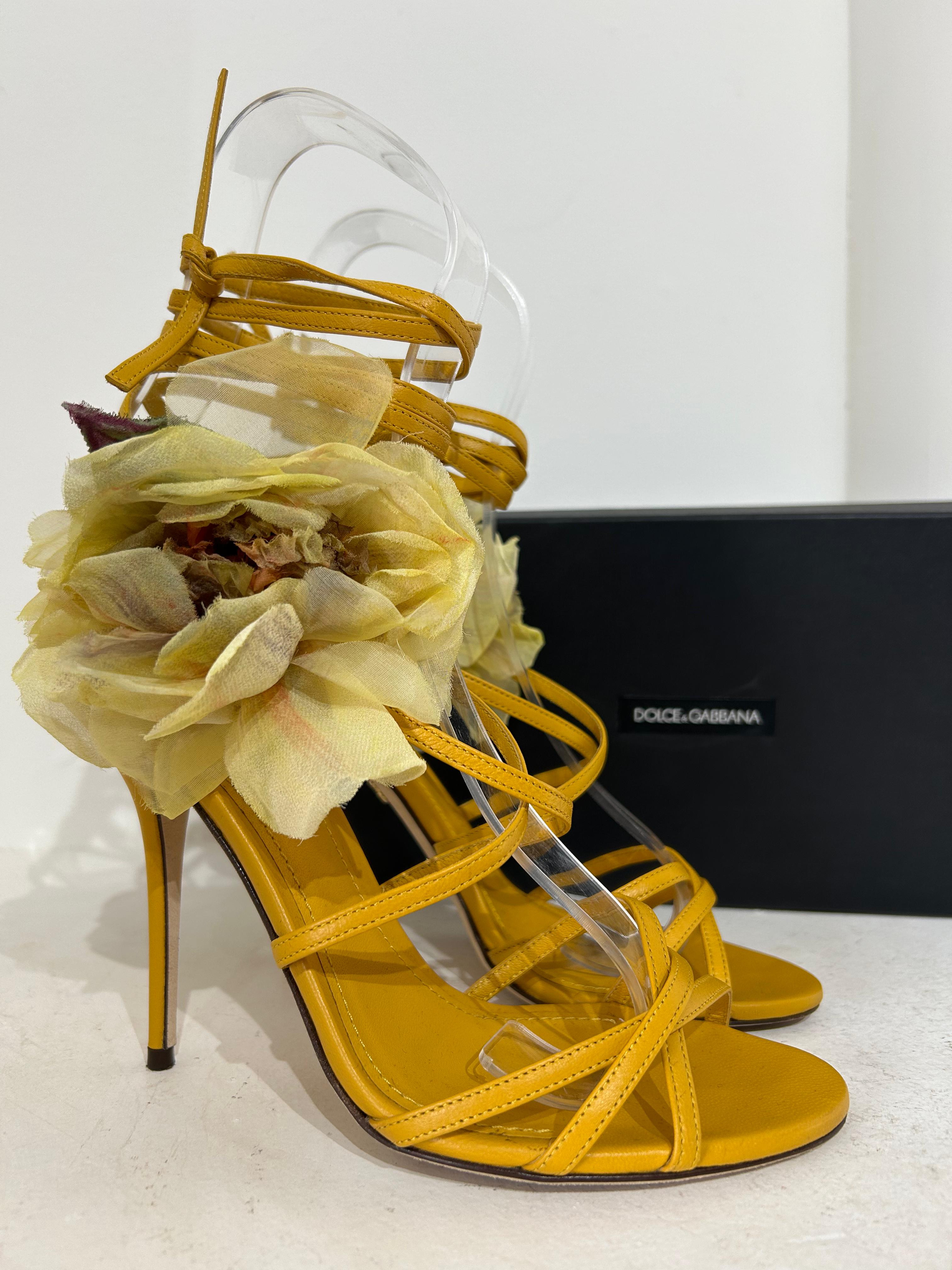 Sandália Dolce & Gabbana Floral